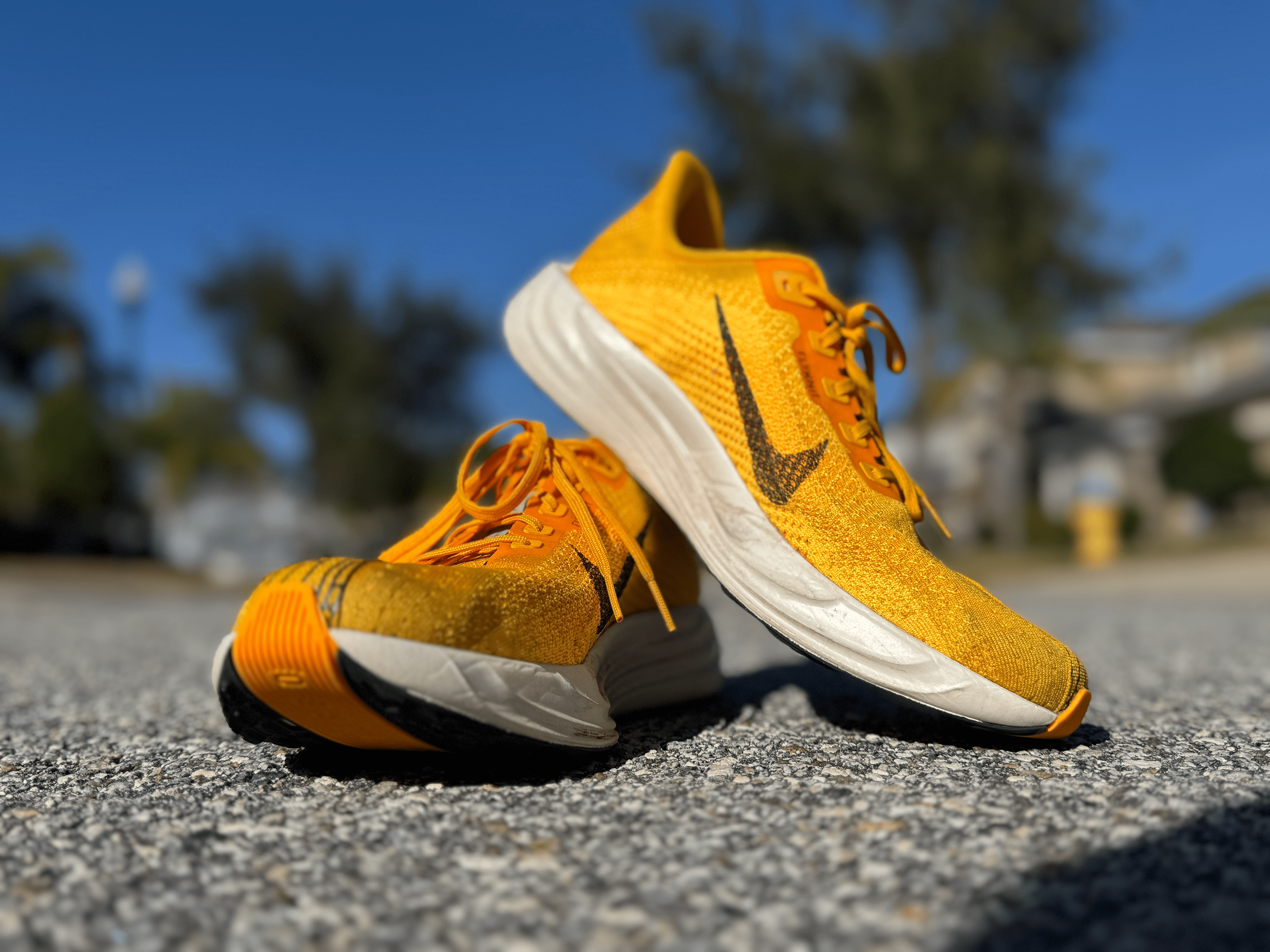 nike pegasus plus product shot on pavement