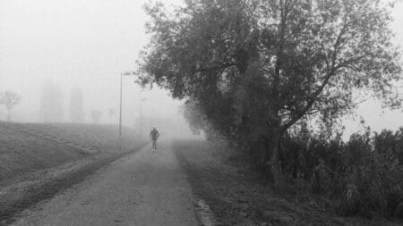 13 Best Books for Runners: Training, Nutrition, Recovery, Mindset & More Lone runner moving along a misty tree-lined pathway in atmospheric black and white monochrome